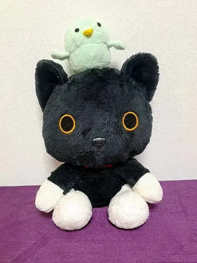 쿠츠시타 냥코 + 새 양말 냥코 인형 산엑스 | 브랜드 중고거래